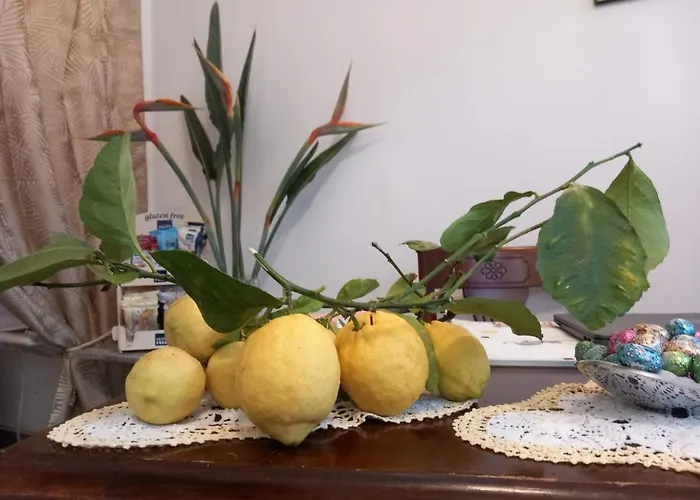 Da Carla 보나솔라